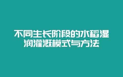 不同生长阶段的水稻湿润灌溉模式与方法-会东网