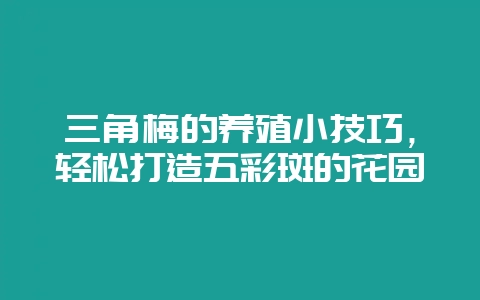 三角梅的养殖小技巧，轻松打造五彩斑的花园-会东网