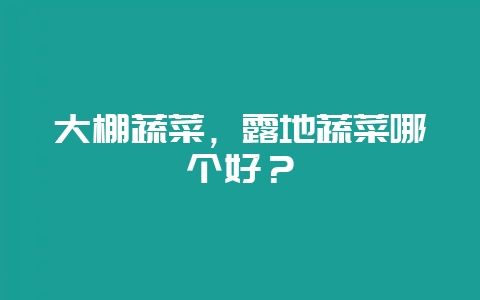 大棚蔬菜，露地蔬菜哪个好？-会东网