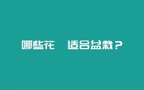 哪些花卉适合盆栽?插图 哪些花卉适合盆栽?插图