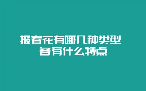 报春花有哪几种类型 各有什么特点-会东网