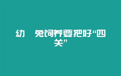 幼獭兔饲养要把好“四关”-会东网
