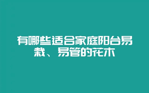 有哪些适合家庭阳台易栽、易管的花木-会东网