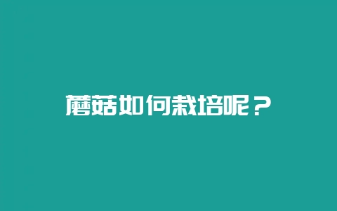 蘑菇如何栽培呢?插图 蘑菇如何栽培呢?插图