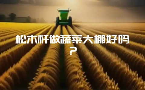 松木杆做蔬菜大棚好吗？-会东网