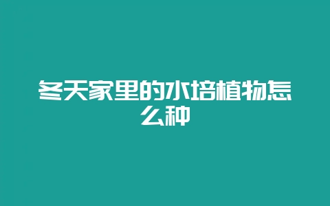 冬天家里的水培植物怎么种-会东网