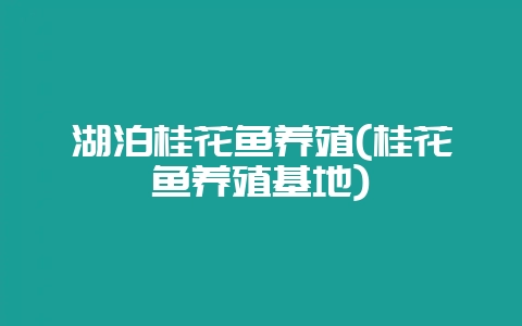 湖泊桂花鱼养殖(桂花鱼养殖基地)-会东网