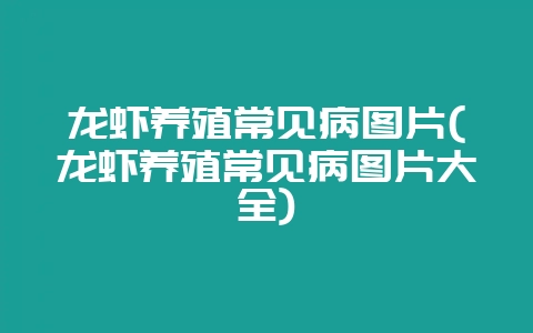 龙虾养殖常见病图片(龙虾养殖常见病图片大全)-会东网