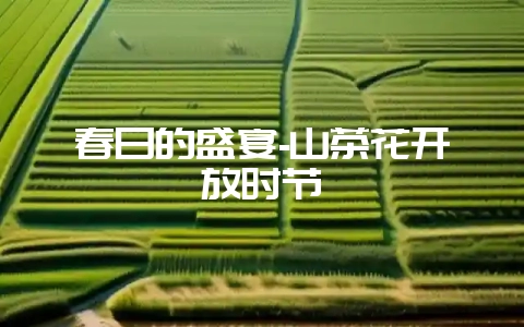 春日的盛宴-山茶花开放时节插图 春日的盛宴-山茶花开放时节插图