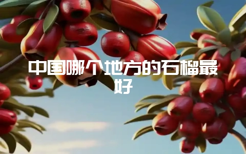 中国哪个地方的石榴最好-会东网