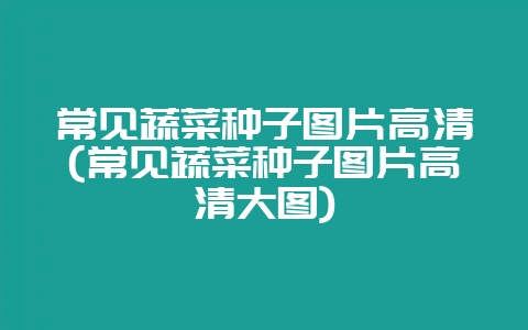 常见蔬菜种子图片高清(常见蔬菜种子图片高清大图)-会东网