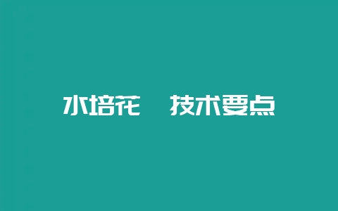 水培花卉技术要点-会东网