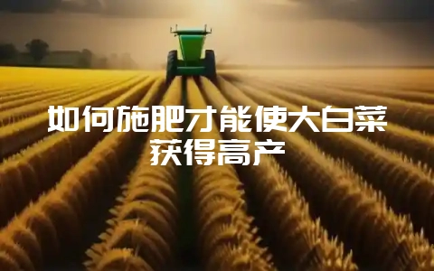 如何施肥才能使大白菜获得高产-会东网
