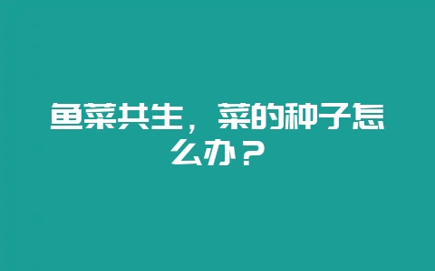 鱼菜共生，菜的种子怎么办？-会东网