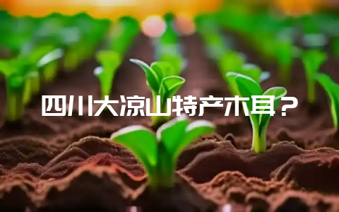 四川大凉山特产木耳？-会东网