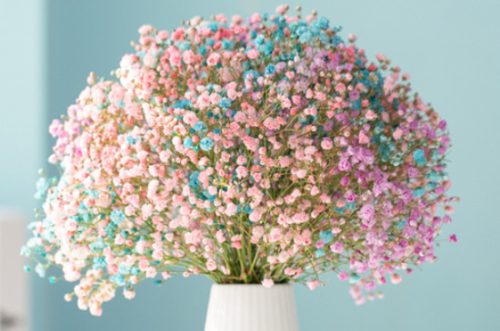 插瓶鲜花蔫了怎么救活插图1
