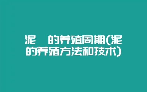 泥鳅的养殖周期(泥鳅的养殖方法和技术)-会东网