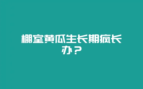棚室黄瓜生长期疯长咋办？-会东网
