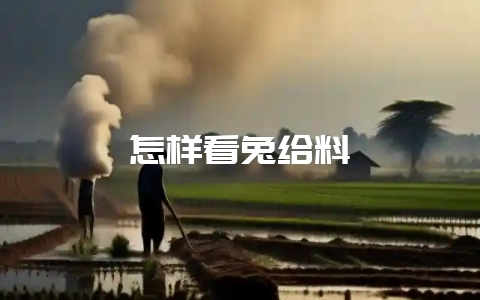怎样看兔给料-会东网