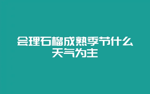 会理石榴成熟季节什么天气为主-会东网