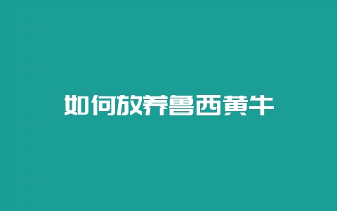 如何放养鲁西黄牛-会东网