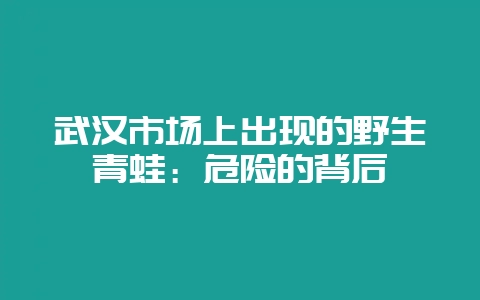 武汉市场上出现的野生青蛙：危险的背后-会东网