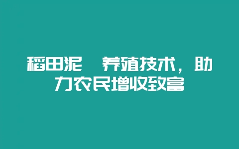 稻田泥鳅养殖技术，助力农民增收致富-会东网
