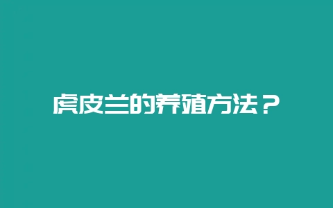 虎皮兰的养殖方法？-会东网