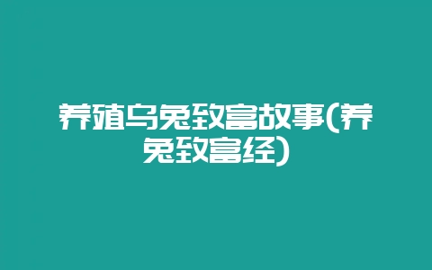 养殖乌兔致富故事(养兔致富经)-会东网