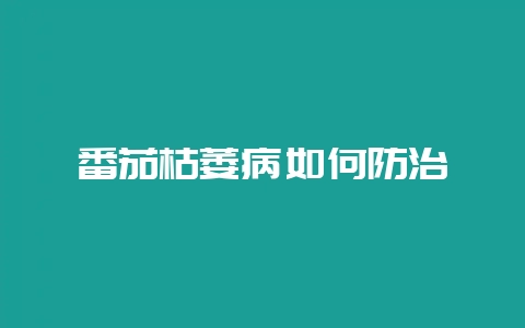 番茄枯萎病如何防治-会东网