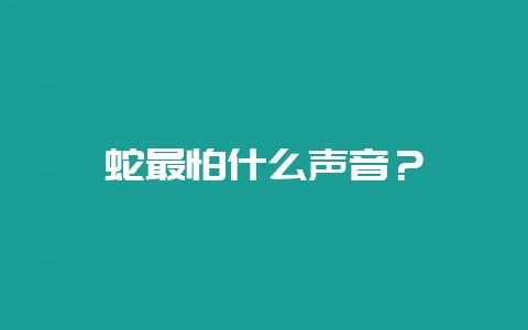 蛇最怕什么声音？-会东网