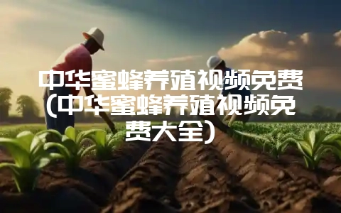 中华蜜蜂养殖视频免费(中华蜜蜂养殖视频免费大全)-会东网