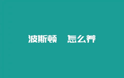 波斯顿蕨怎么养-会东网