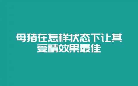 母猪在怎样状态下让其受精效果最佳-会东网