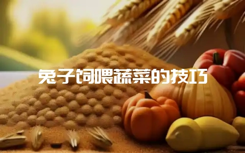 兔子饲喂蔬菜的技巧插图 兔子饲喂蔬菜的技巧插图