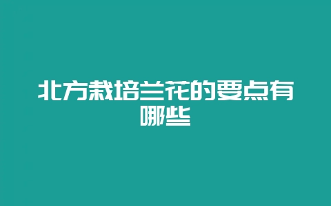 北方栽培兰花的要点有哪些-会东网