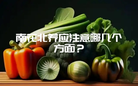 南花北养应注意哪几个方面？-会东网