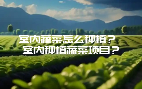 室内蔬菜怎么种植？ 室内种植蔬菜项目？-会东网
