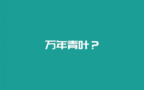 万年青叶？-会东网
