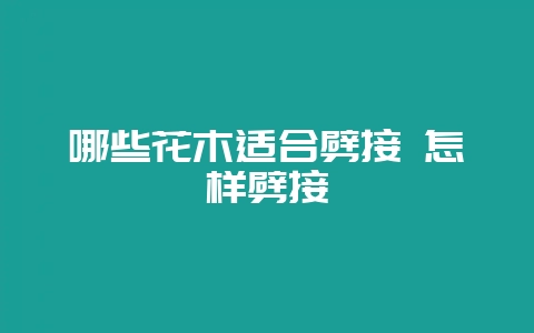 哪些花木适合劈接 怎样劈接-会东网