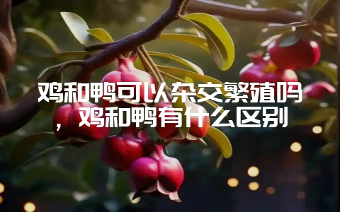 鸡和鸭可以杂交繁殖吗,鸡和鸭有什么区别插图 鸡和鸭可以杂交繁殖吗,鸡和鸭有什么区别插图