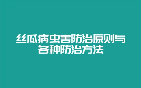 丝瓜病虫害防治原则与各种防治方法-会东网