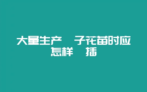 大量生产栀子花苗时应怎样扦插插图 大量生产栀子花苗时应怎样扦插插图