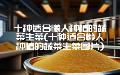 十种适合懒人种植的蔬菜生菜(十种适合懒人种植的蔬菜生菜图片)-会东网