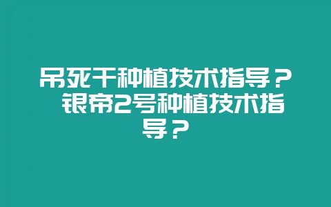 吊死干种植技术指导？ 银帝2号种植技术指导？-会东网