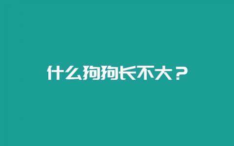 什么狗狗长不大？-会东网
