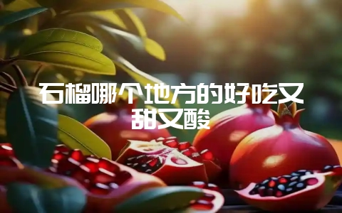 石榴哪个地方的好吃又甜又酸-会东网