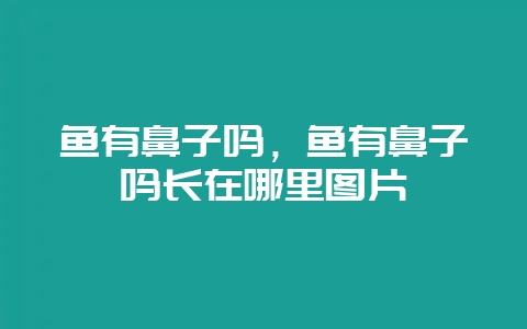 鱼有鼻子吗,鱼有鼻子吗长在哪里图片插图 鱼有鼻子吗,鱼有鼻子吗长在哪里图片插图