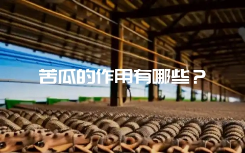 苦瓜的作用有哪些？-会东网