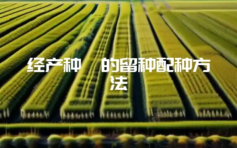 经产种貉的留种配种方法-会东网